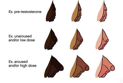 trans bottom growth meaning|A Guide to Transgender Bottom Growth